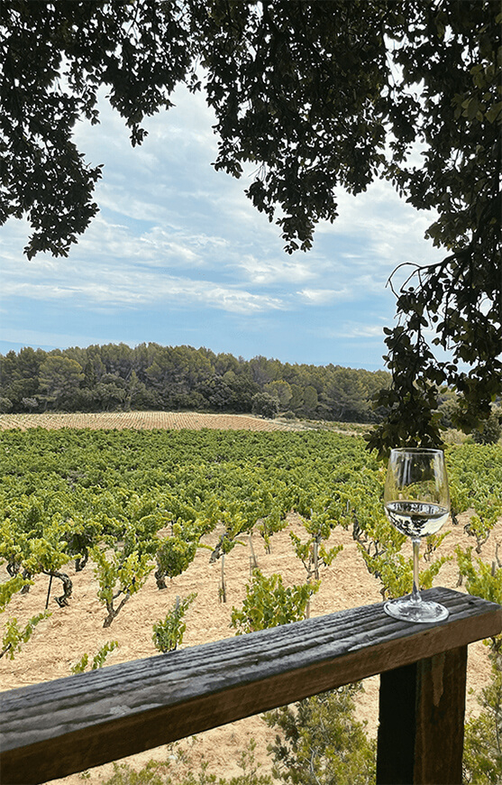 Producteur de vin à la pression